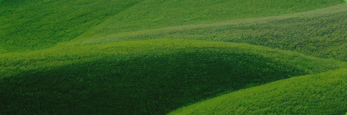 明升mansion88(中国游)最新官方网站