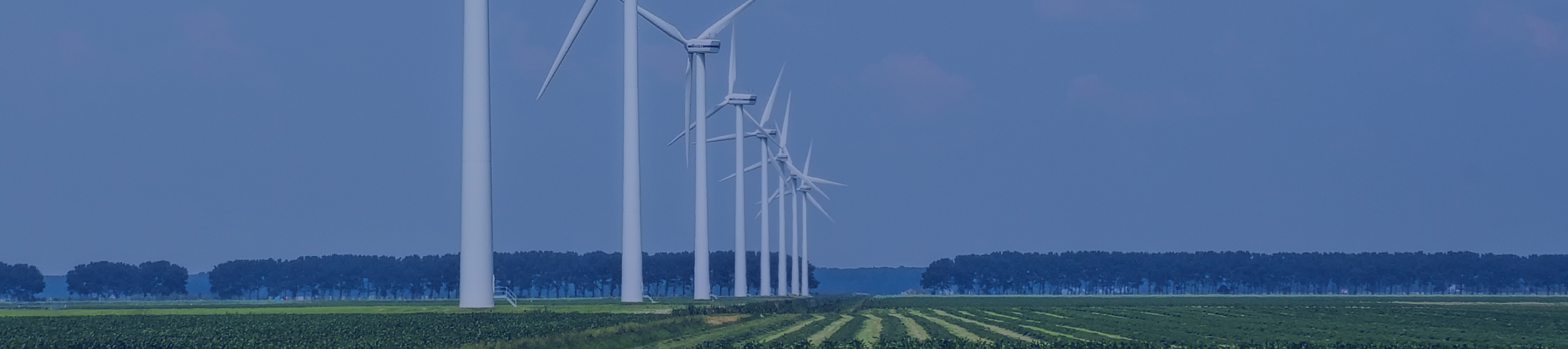 明升mansion88(中国游)最新官方网站