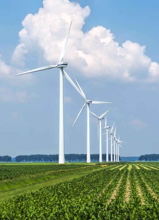 明升mansion88(中国游)最新官方网站