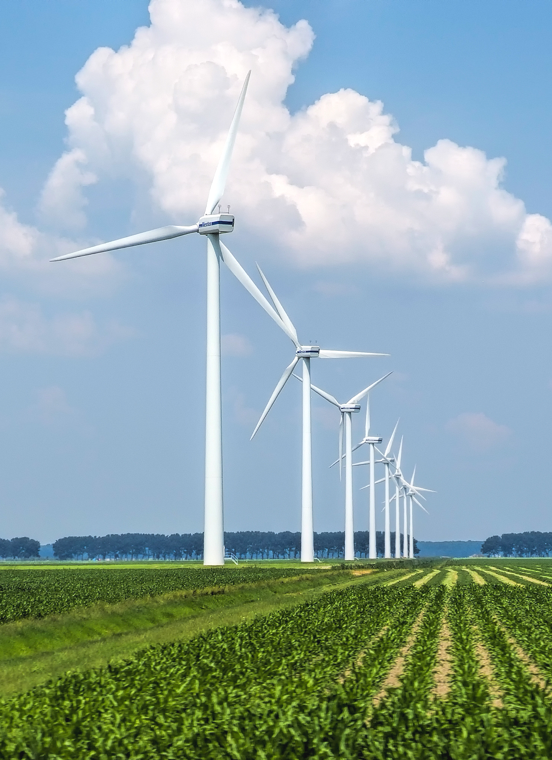 明升mansion88(中国游)最新官方网站